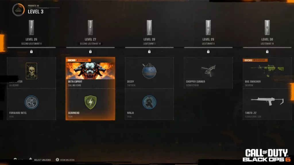 Screenshot of leveling in Black Ops 6